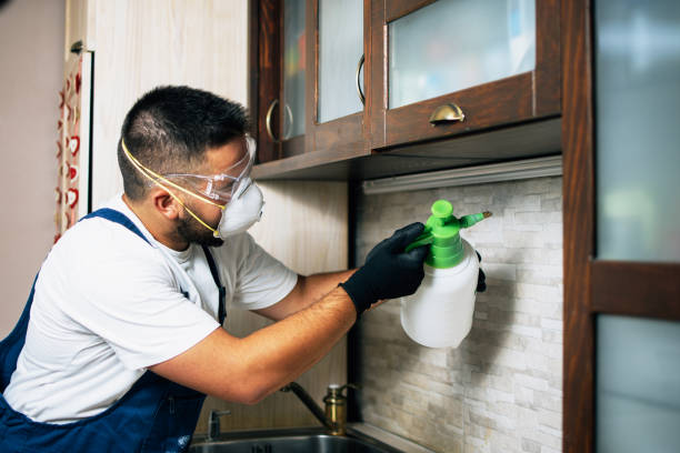 Best Best Pest Control Near Me  in Coffeyville, KS