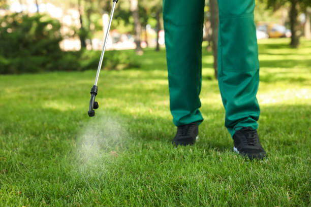 Best Rat Extermination Near Me  in Coffeyville, KS