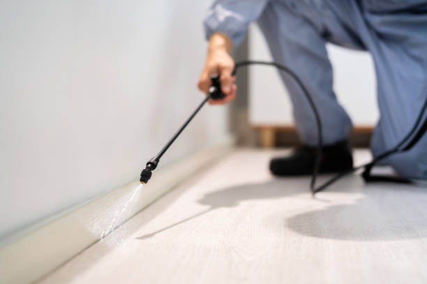 Best Termite Control Services  in Coffeyville, KS