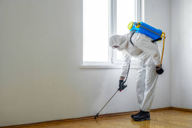 Best Affordable Pest Control Services  in Coffeyville, KS