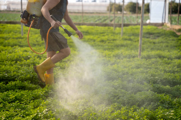 Best Pest Control Cost  in Coffeyville, KS