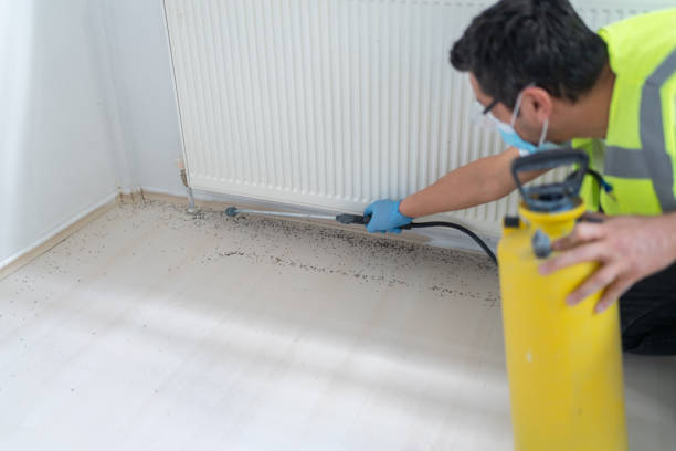 Best Affordable Pest Control Services  in Coffeyville, KS