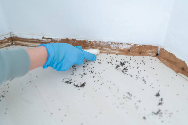 Best Pest Prevention Services  in Coffeyville, KS